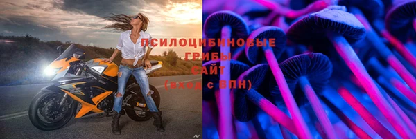 сатива Белоозёрский