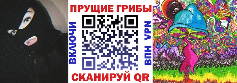 купить  цена  Ворсма  Псилоцибиновые грибы мицелий 
